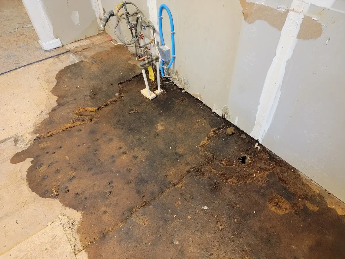 Signs of a hidden water leak inside a Tampa home